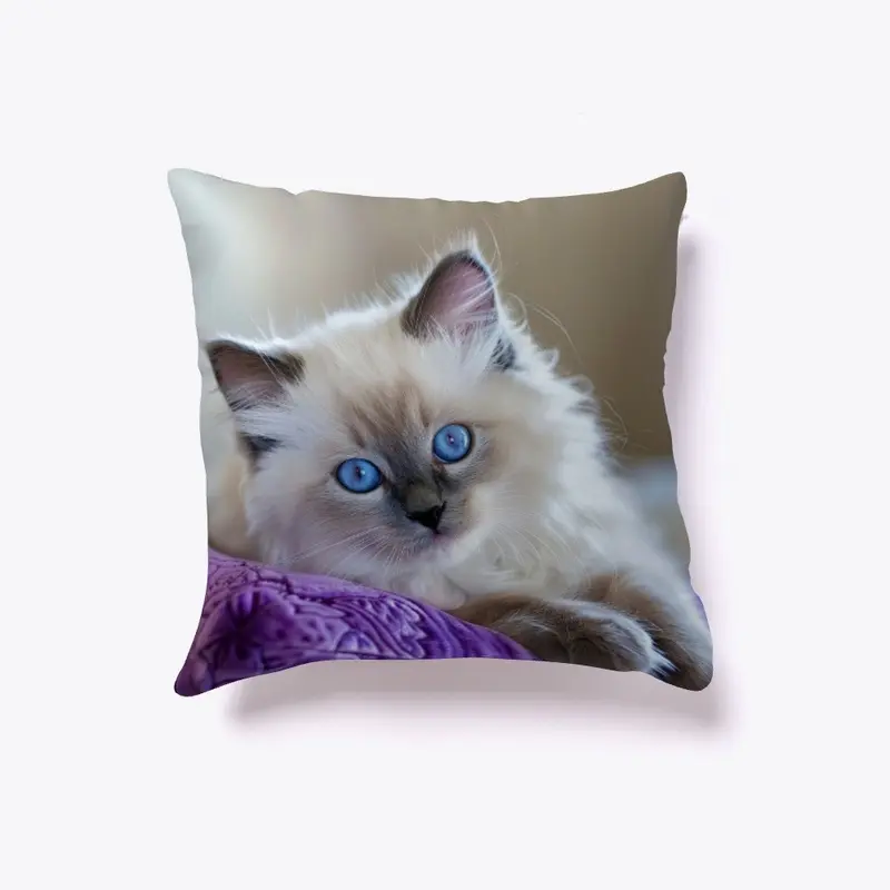 Blue-Eyed Beauty on Purple Plush